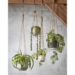 Hangpot Resa - D18,5 X H17cm - Lichtgrijs 9 Hangpot Resa - D18,5 X H17cm - Lichtgrijs -Kamerplanten Winkel hangpot resa d18 5 x h17cm lichtgrijs hangpot 5 1