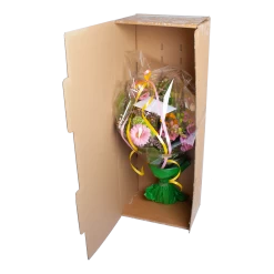 Boeket Lien Middel -Kamerplanten Winkel verpakking boeket open 1 32